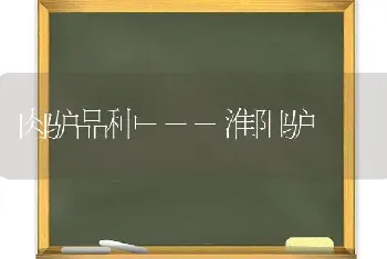 肉驴品种---淮阳驴