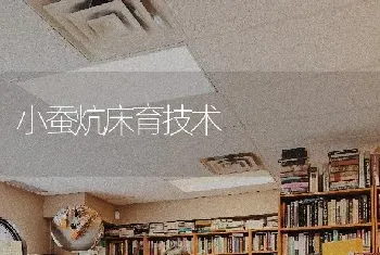 小蚕炕床育技术