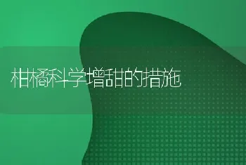 柑橘科学增甜的措施