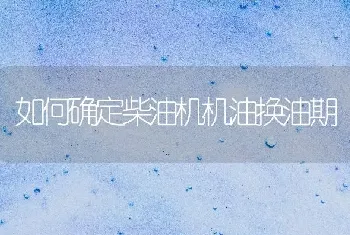 如何确定柴油机机油换油期