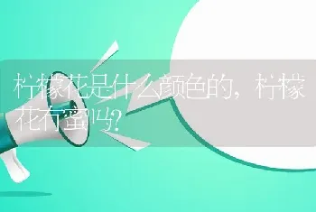 柠檬花是什么颜色的