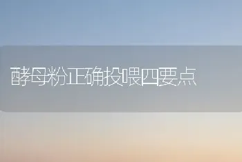 酵母粉正确投喂四要点