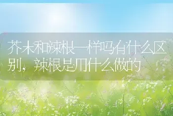 芥末和辣根一样吗有什么区别