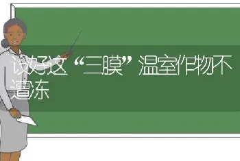 设好这“三膜”温室作物不遭冻