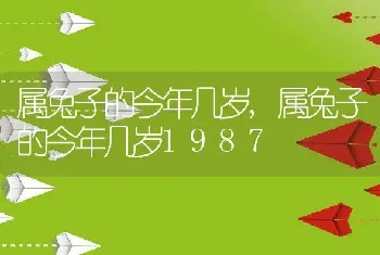 属兔子的今年几岁