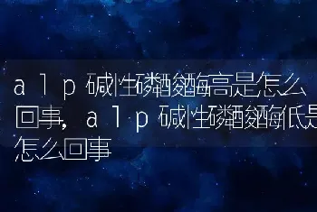 alp碱性磷酸酶高是怎么回事,alp碱性磷酸酶低是怎么回事