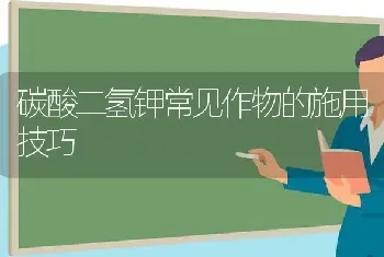 碳酸二氢钾常见作物的施用技巧