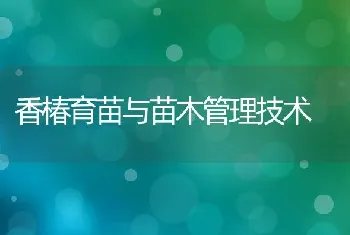 香椿育苗与苗木管理技术