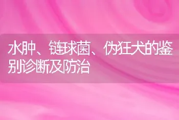 水肿、链球菌、伪狂犬的鉴别诊断及防治