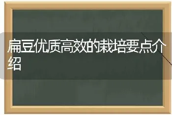 扁豆优质高效的栽培要点介绍