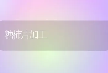 糖柿片加工