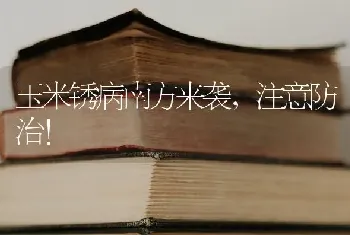 陶氏杜邦推出“法砣”高产组合