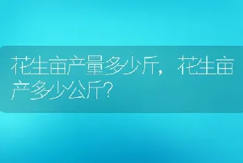 花生亩产量多少斤