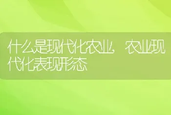 什么是现代化农业