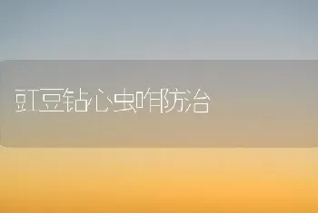 豇豆钻心虫咋防治