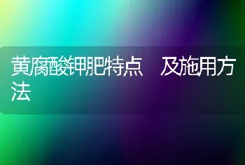 黄腐酸钾肥特点 及施用方法