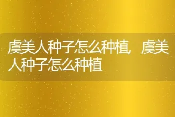 虞美人种子怎么种植