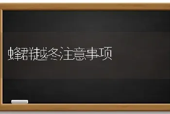 蜂群越冬注意事项