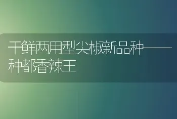 干鲜两用型尖椒新品种——种都香辣王