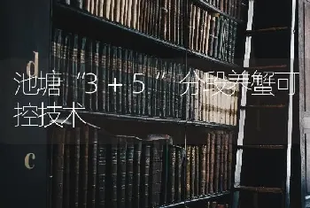 池塘“3+5”分段养蟹可控技术