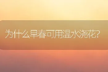 为什么早春可用温水浇花?