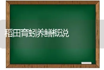 稻田育蚓养鳝概说