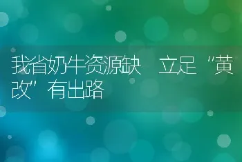 我省奶牛资源缺 立足“黄改”有出路