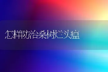 怎样防治桑树烂头瘟