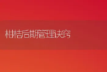 柑桔后期管理诀窍