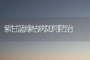 紫甘蓝缘枯病如何防治