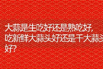 狗狗发烧了怎么办