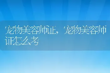 宠物美容师证,宠物美容师证怎么考