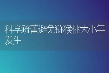 科学疏蕾避免猕猴桃大小年发生