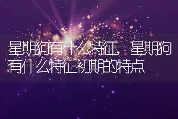 星期狗有什么特征,星期狗有什么特征初期的特点