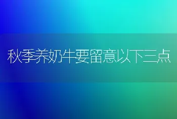 秋季养奶牛要留意以下三点