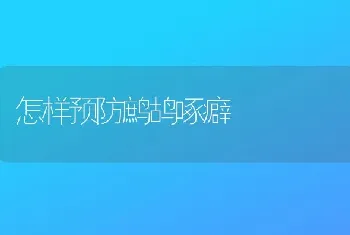 怎样预防鹧鸪啄癖