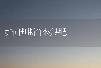 如何判断作物缺肥