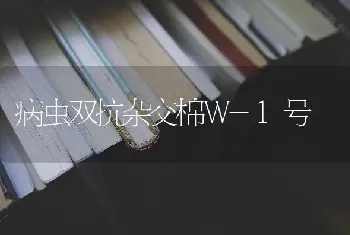 病虫双抗杂交棉W-1号