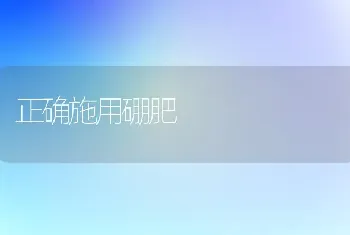 正确施用硼肥