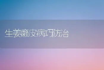 生姜癞皮病巧防治