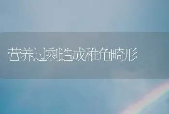 营养过剩造成稚龟畸形