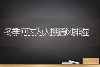 冬季何时为大棚通风排湿