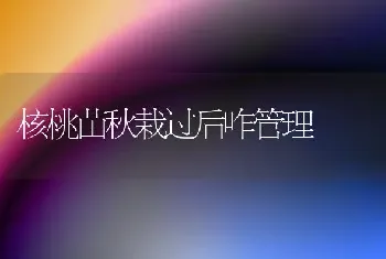 核桃苗秋栽过后咋管理