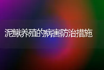 泥鳅养殖的病害防治措施