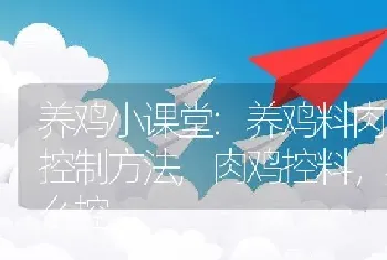 养鸡小课堂:养鸡料肉比的控制方法