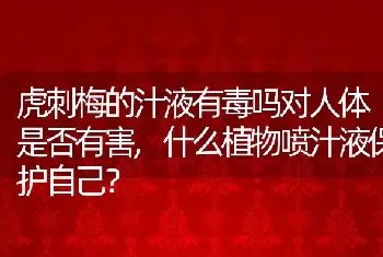 虎刺梅的汁液有毒吗对人体是否有害