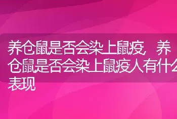 养仓鼠是否会染上鼠疫,养仓鼠是否会染上鼠疫人有什么表现