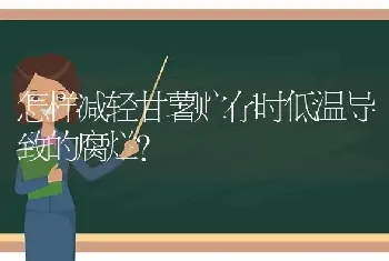 怎样减轻甘薯贮存时低温导致的腐烂?