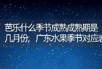 芭乐什么季节成熟成熟期是几月份