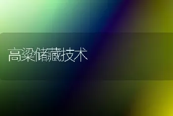 高粱储藏技术